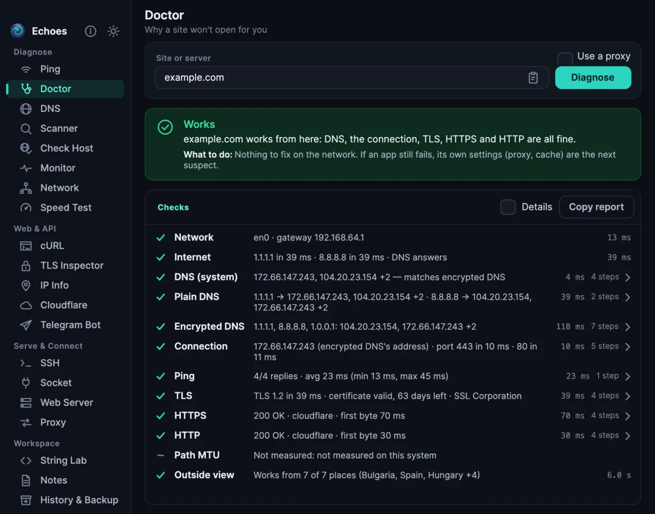 Echoes on a Mac: the Doctor says example.com works from here, with every check it ran